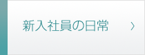 新入社員の日常